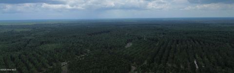 Tiny photo for 250 Long Bluff Road, Currie, NC 28435 (MLS # 100532437)