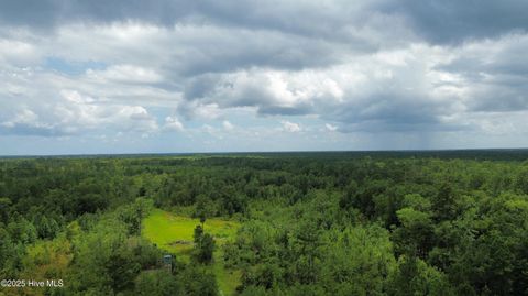 Tiny photo for 250 Long Bluff Road, Currie, NC 28435 (MLS # 100532437)