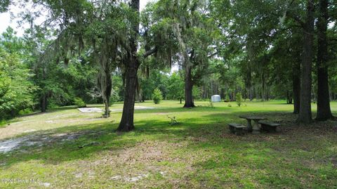 Tiny photo for 250 Long Bluff Road, Currie, NC 28435 (MLS # 100532437)