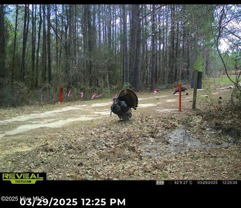 Tiny photo for 250 Long Bluff Road, Currie, NC 28435 (MLS # 100532437)