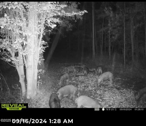 Tiny photo for 250 Long Bluff Road, Currie, NC 28435 (MLS # 100532437)