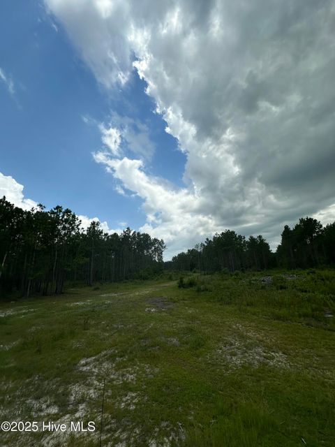 Tiny photo for 250 Long Bluff Road, Currie, NC 28435 (MLS # 100532437)