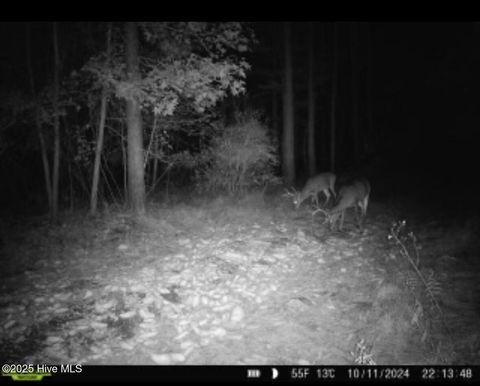 Tiny photo for 250 Long Bluff Road, Currie, NC 28435 (MLS # 100532437)