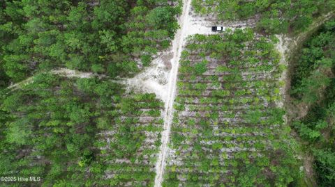 Tiny photo for 250 Long Bluff Road, Currie, NC 28435 (MLS # 100532437)