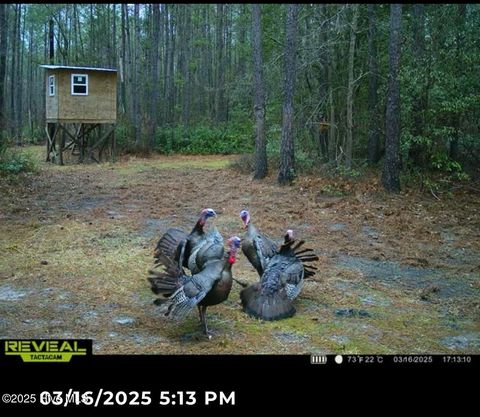 Tiny photo for 250 Long Bluff Road, Currie, NC 28435 (MLS # 100532437)