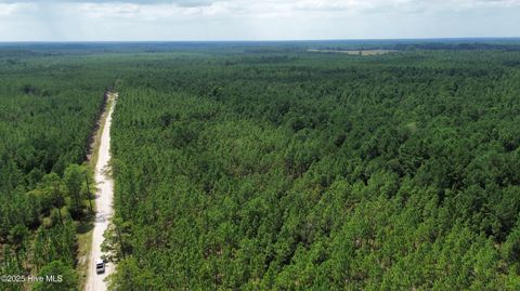 Tiny photo for 250 Long Bluff Road, Currie, NC 28435 (MLS # 100532437)