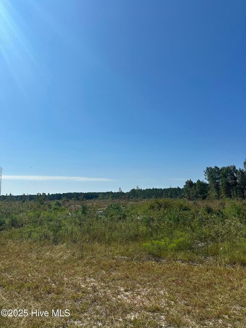 Tiny photo for 250 Long Bluff Road, Currie, NC 28435 (MLS # 100532437)