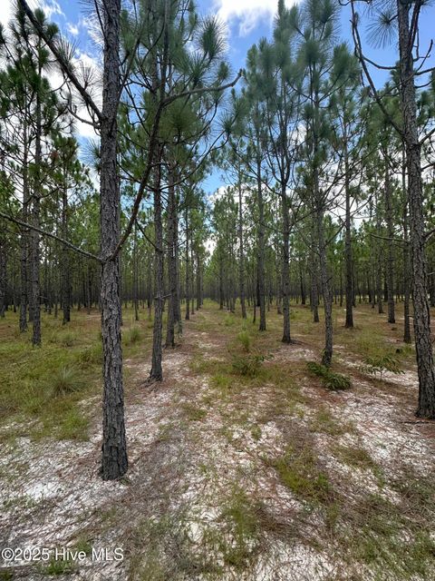 Tiny photo for 250 Long Bluff Road, Currie, NC 28435 (MLS # 100532437)