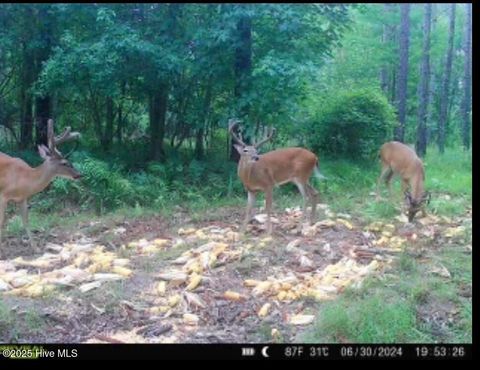 Tiny photo for 250 Long Bluff Road, Currie, NC 28435 (MLS # 100532437)