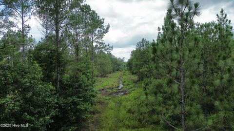 Tiny photo for 250 Long Bluff Road, Currie, NC 28435 (MLS # 100532437)