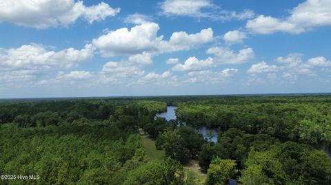 Tiny photo for 250 Long Bluff Road, Currie, NC 28435 (MLS # 100532437)