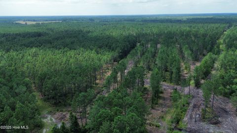 Tiny photo for 250 Long Bluff Road, Currie, NC 28435 (MLS # 100532437)