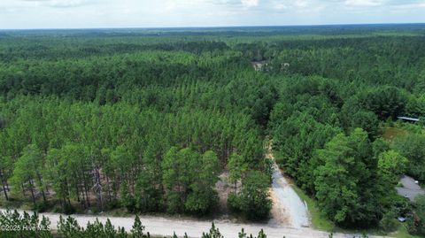 Tiny photo for 250 Long Bluff Road, Currie, NC 28435 (MLS # 100532437)