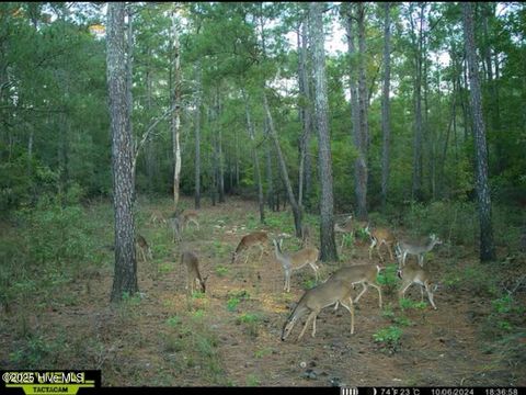 Tiny photo for 250 Long Bluff Road, Currie, NC 28435 (MLS # 100532437)