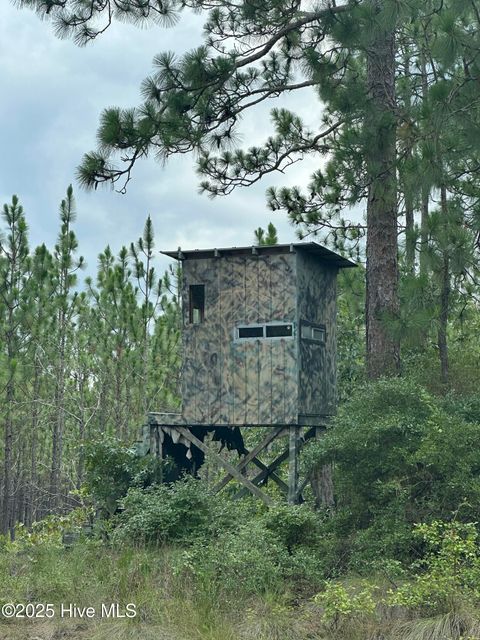 Tiny photo for 250 Long Bluff Road, Currie, NC 28435 (MLS # 100532437)