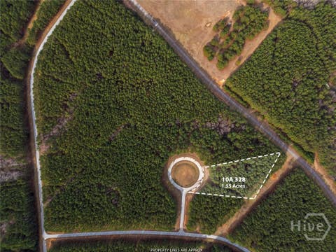 Vacant Land For Sale - Magnolia Court<br/> Tignall, GA 30668