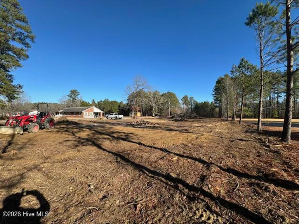 Photo of Tbd Pope Lane, Rich Square, NC 27869 (MLS # 100550092)
