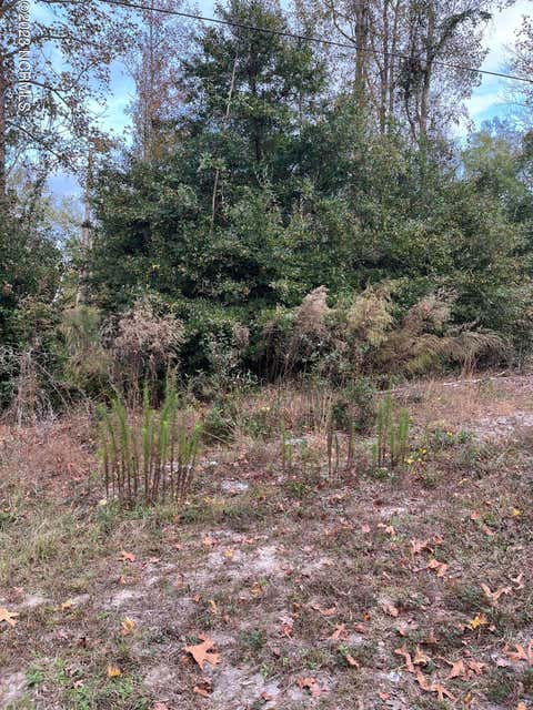 Vacant Land For Sale - 224 Redwood Road<br/> Southport, NC 28461