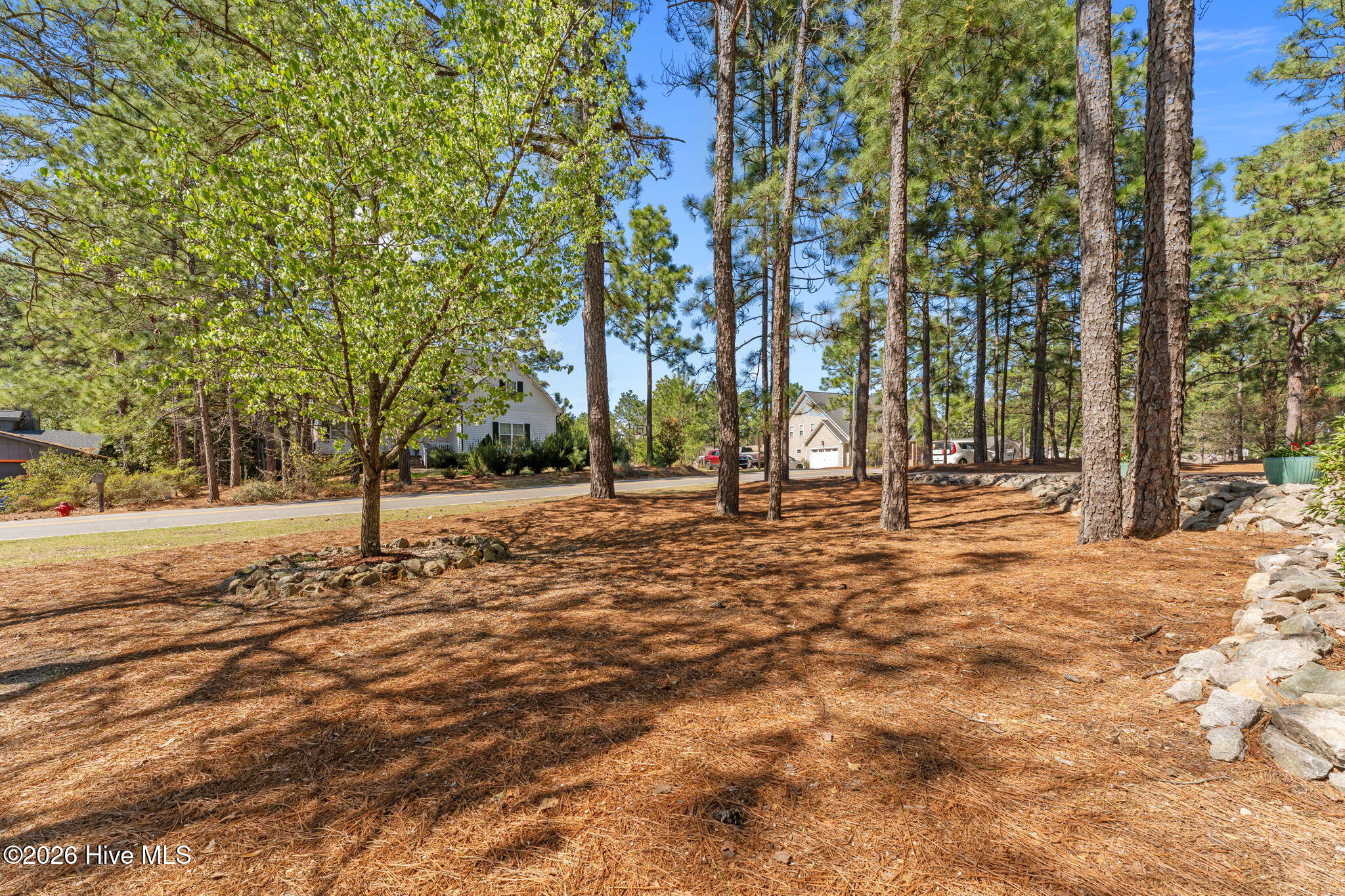 1665 Longleaf Drive E