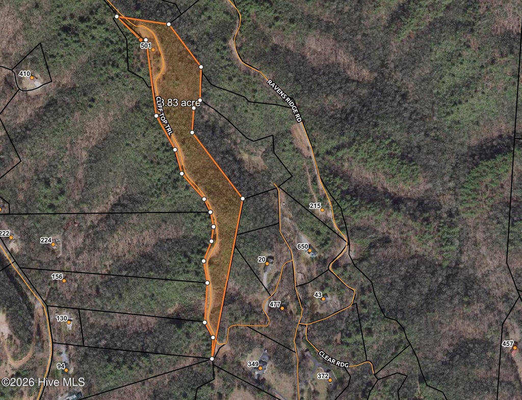 Photo of 501 Cliff Top Trail TRL, Andrews, NC 28901 (MLS # 100594258)