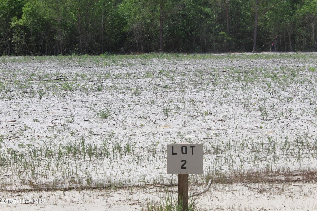 Photo of 105 Southerland Road, Magnolia, NC 28453 (MLS # 100569691)