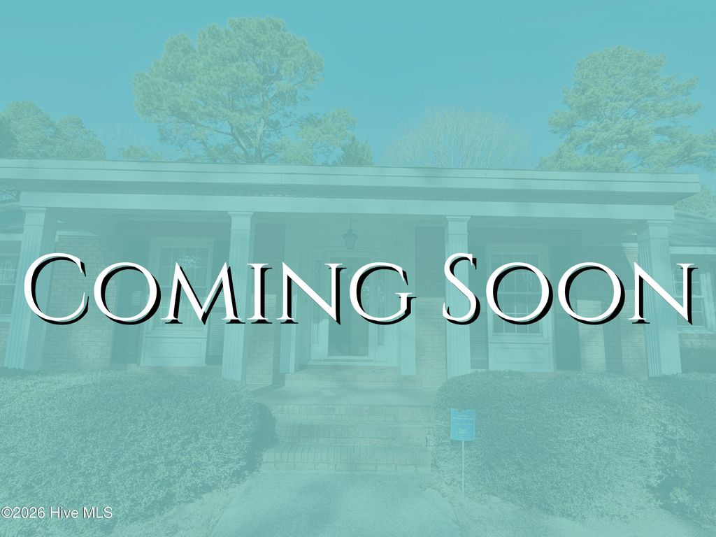 Photo of 808 Chestnut Drive, Smithfield, NC 27577 (MLS # 100554319)