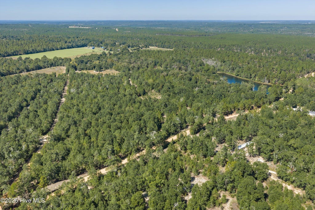 Photo of 0000 Mary Rawls Road, Wagener, SC 29164 (MLS # 100609229)