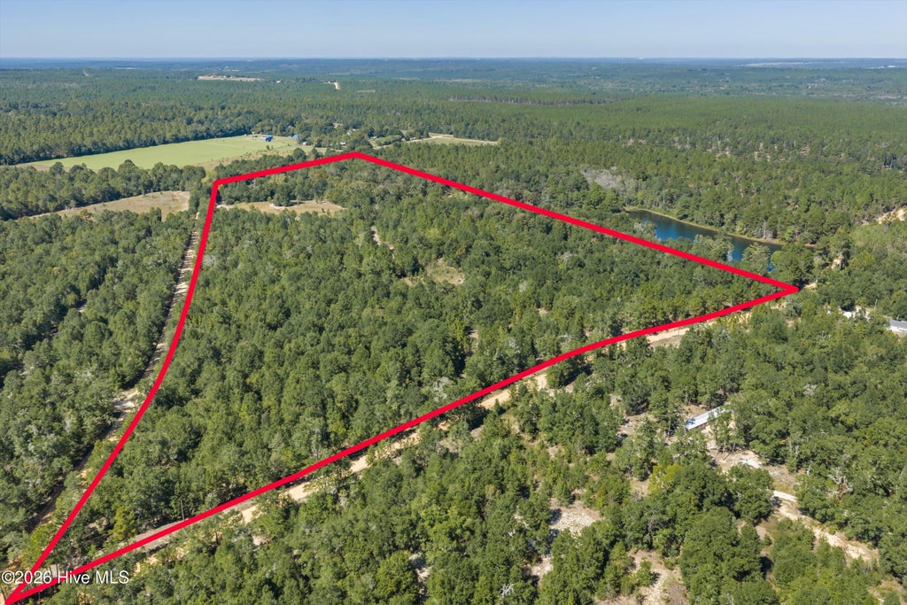 Photo of 0000 Mary Rawls Road, Wagener, SC 29164 (MLS # 100609229)