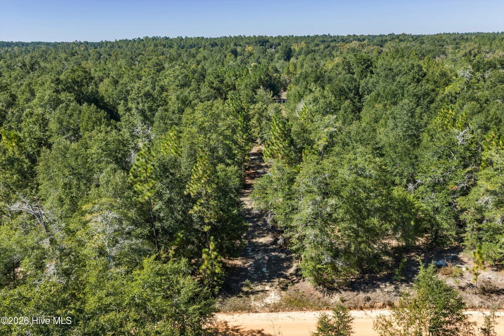 Photo of 0000 Mary Rawls Road, Wagener, SC 29164 (MLS # 100609229)
