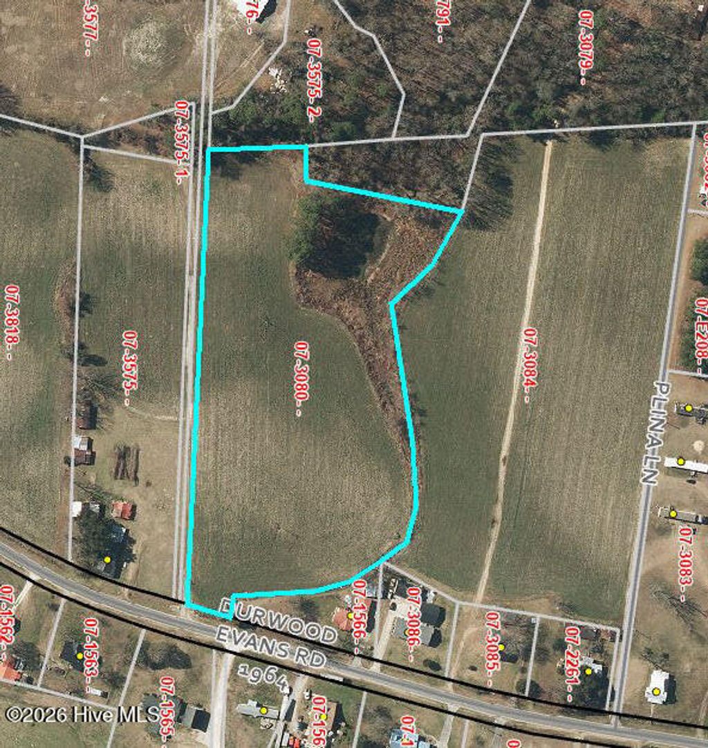 Photo of 734 Durwood Evans Road, Beulaville, NC 28518 (MLS # 100557758)