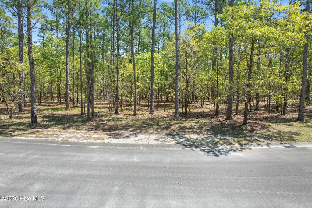 Photo of 684 Madeira Islands Drive SE, Bolivia, NC 28422 (MLS # 100567307)