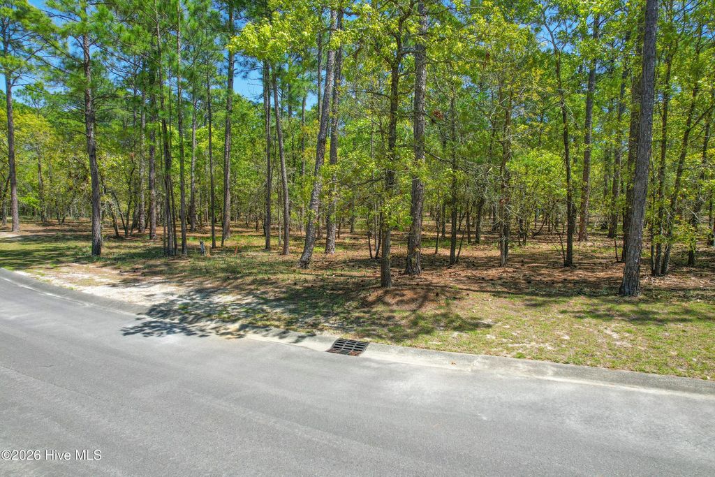 Photo of 684 Madeira Islands Drive SE, Bolivia, NC 28422 (MLS # 100567307)