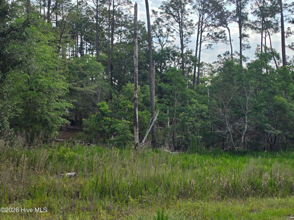 Photo of 1700 Raeford Road, Southport, NC 28461 (MLS # 100580811)