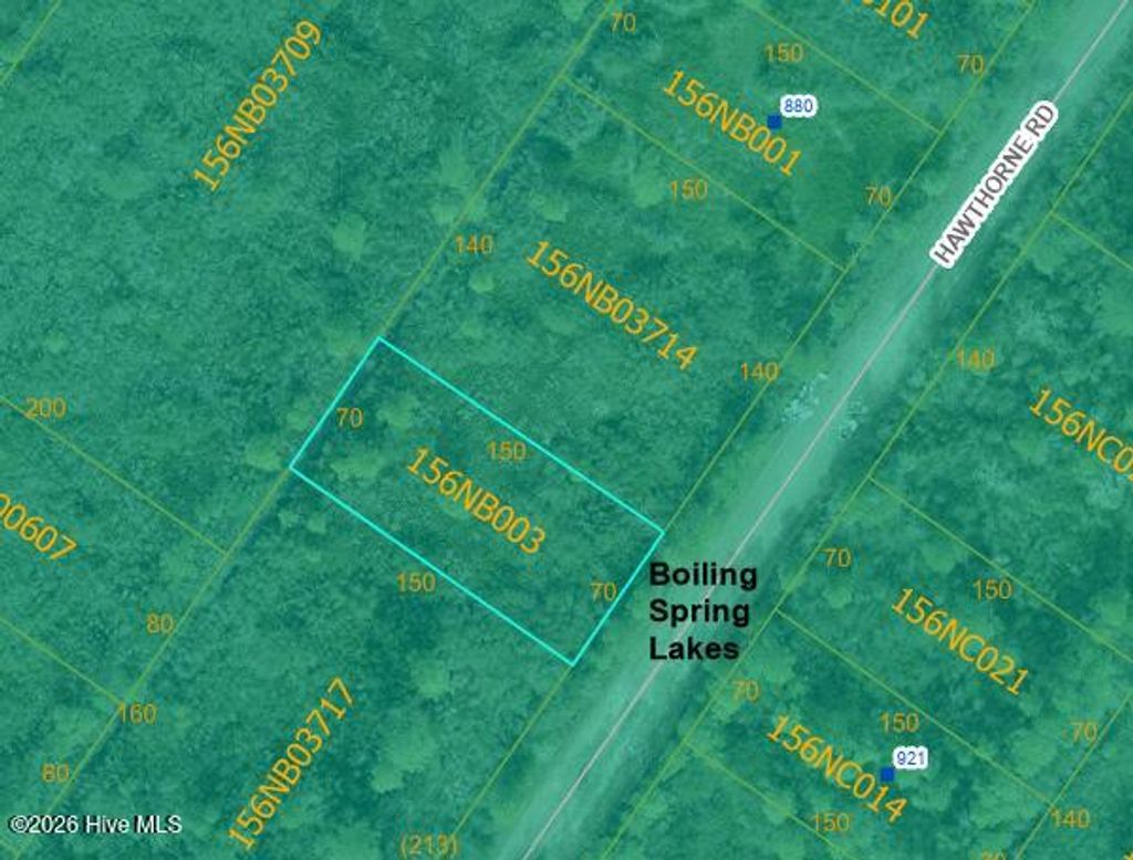 Photo of 0 Hawthorne Road, Boiling Spring Lakes, NC 28461 (MLS # 100571465)
