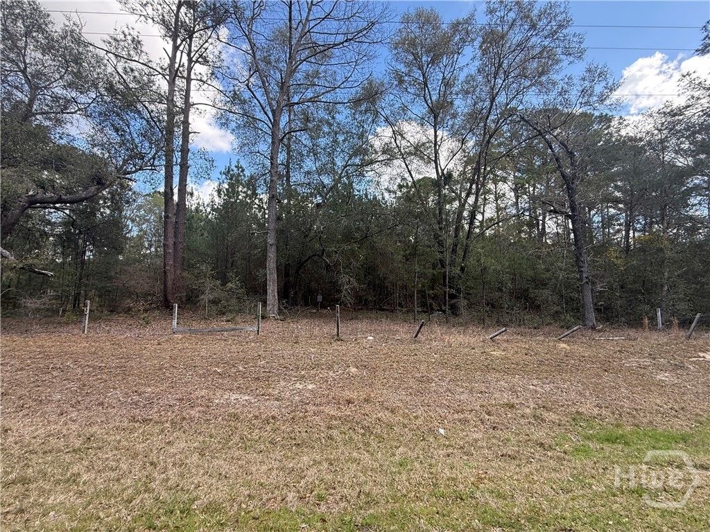 Photo of 2362 Old Dixie Highway S, Springfield, GA 31329 (MLS # SA350620)