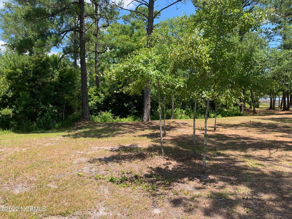 Photo of 276 E Ivybridge Drive, Hubert, NC 28539 (MLS # 100556389)