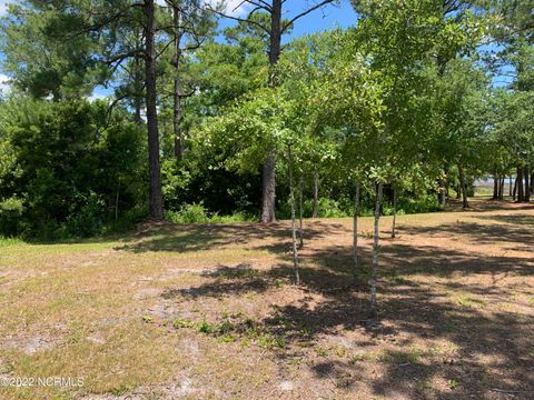 Tiny photo for 276 E Ivybridge Drive, Hubert, NC 28539 (MLS # 100556389)