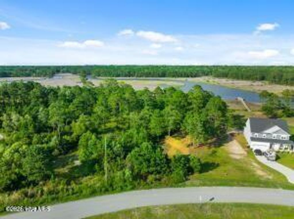Photo of 276 E Ivybridge Drive, Hubert, NC 28539 (MLS # 100556389)