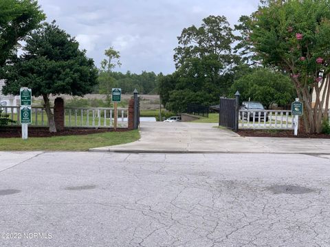 Tiny photo for 276 E Ivybridge Drive, Hubert, NC 28539 (MLS # 100556389)