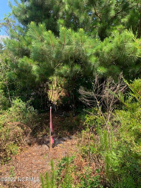 Tiny photo for 276 E Ivybridge Drive, Hubert, NC 28539 (MLS # 100556389)