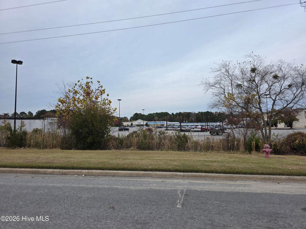 Photo of 806 Park Street, Williamston, NC 27892 (MLS # 100556498)