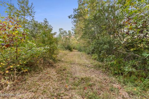 Tiny photo for 659 George Ii Highway SE, Winnabow, NC 28479 (MLS # 100556103)