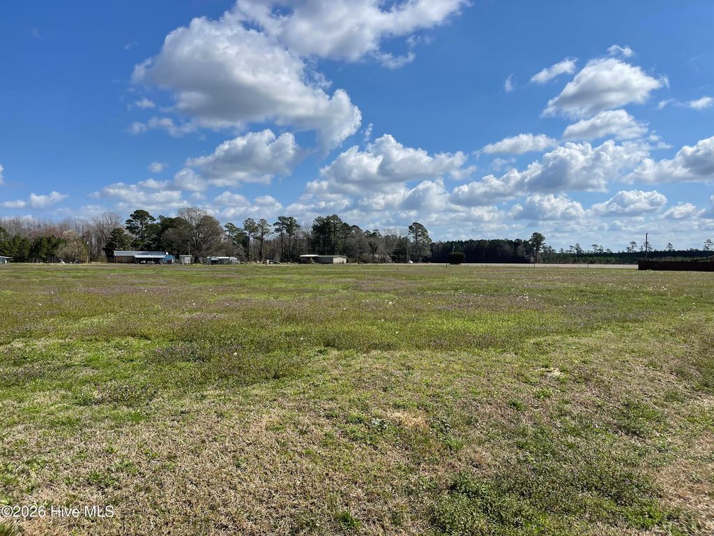 Photo of Lot A Malpass Corner Road, Burgaw, NC 28425 (MLS # 100565801)