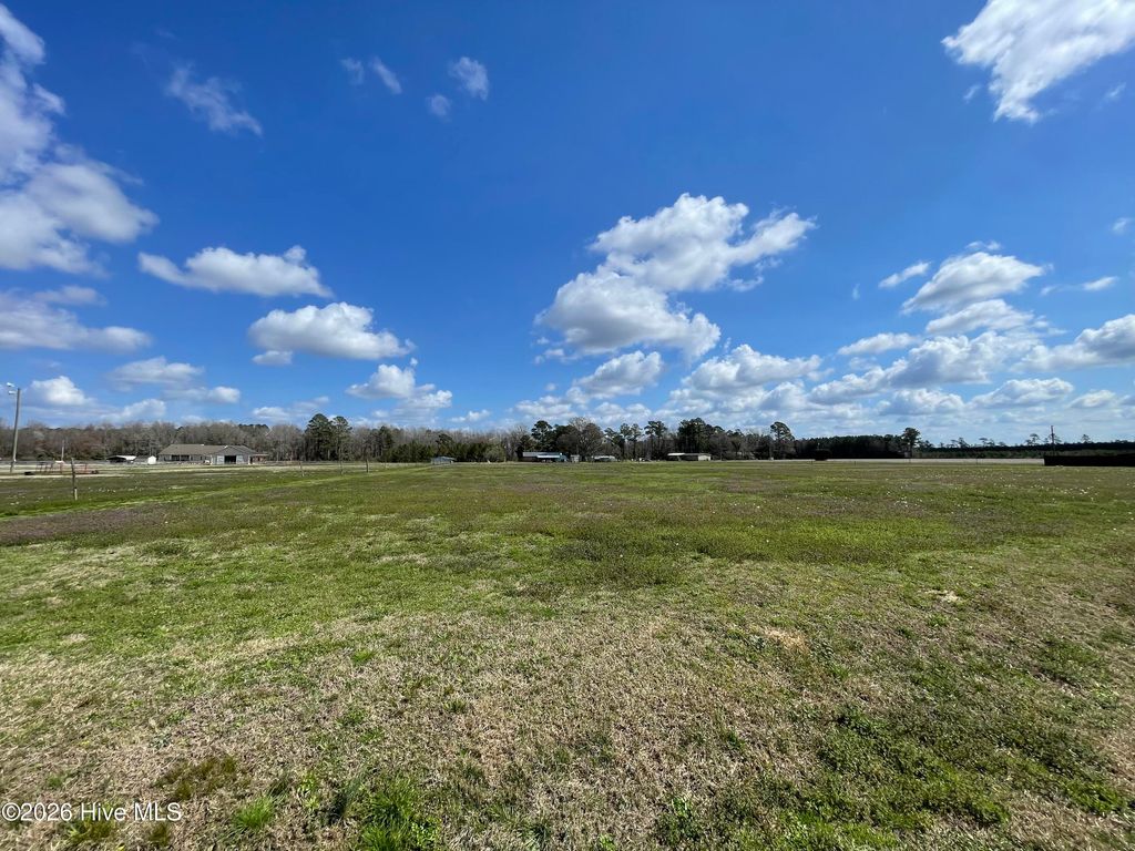 Photo of Lot A Malpass Corner Road, Burgaw, NC 28425 (MLS # 100565801)