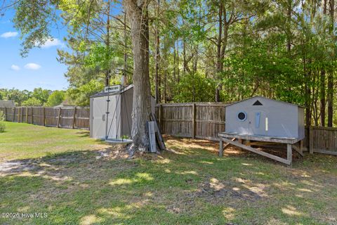 Tiny photo for 303 N Grazing Court, Sneads Ferry, NC 28460 (MLS # 100568558)