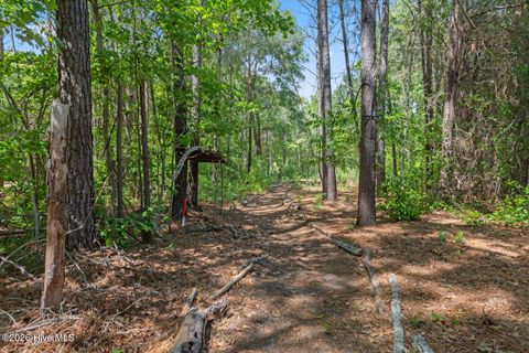 Tiny photo for 303 N Grazing Court, Sneads Ferry, NC 28460 (MLS # 100568558)