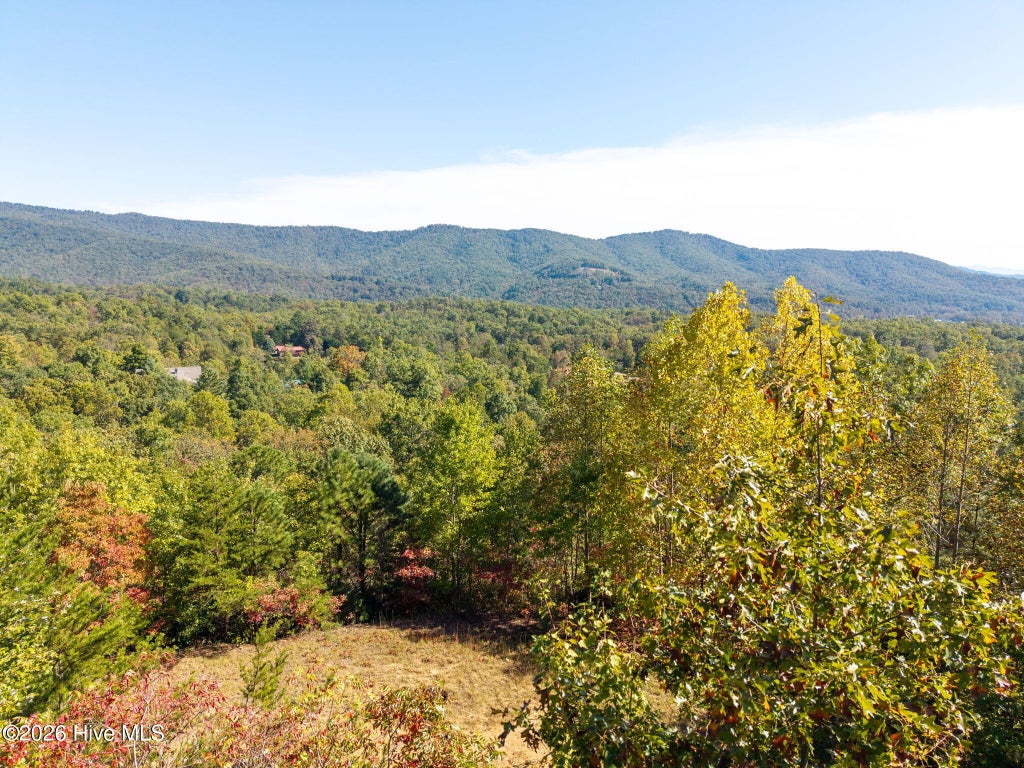 Photo of 33 Sugarwood Drive, Murphy, NC 28906 (MLS # 100610037)