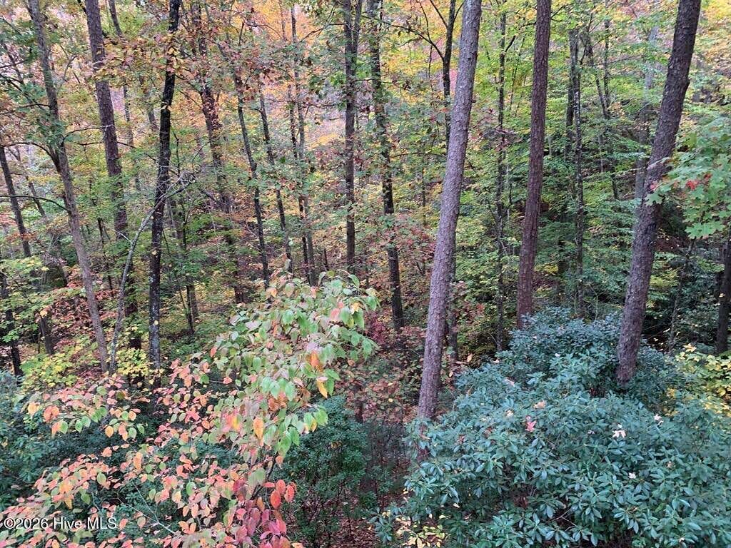 Photo of 27 Laurel Lane, Topton, NC 28781 (MLS # 100595263)