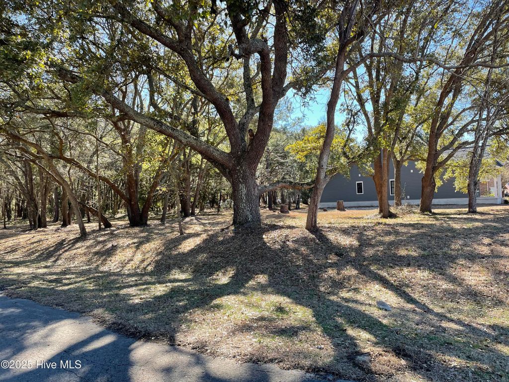 Photo of 1205 Barkentine Drive, New Bern, NC 28560 (MLS # 100571435)