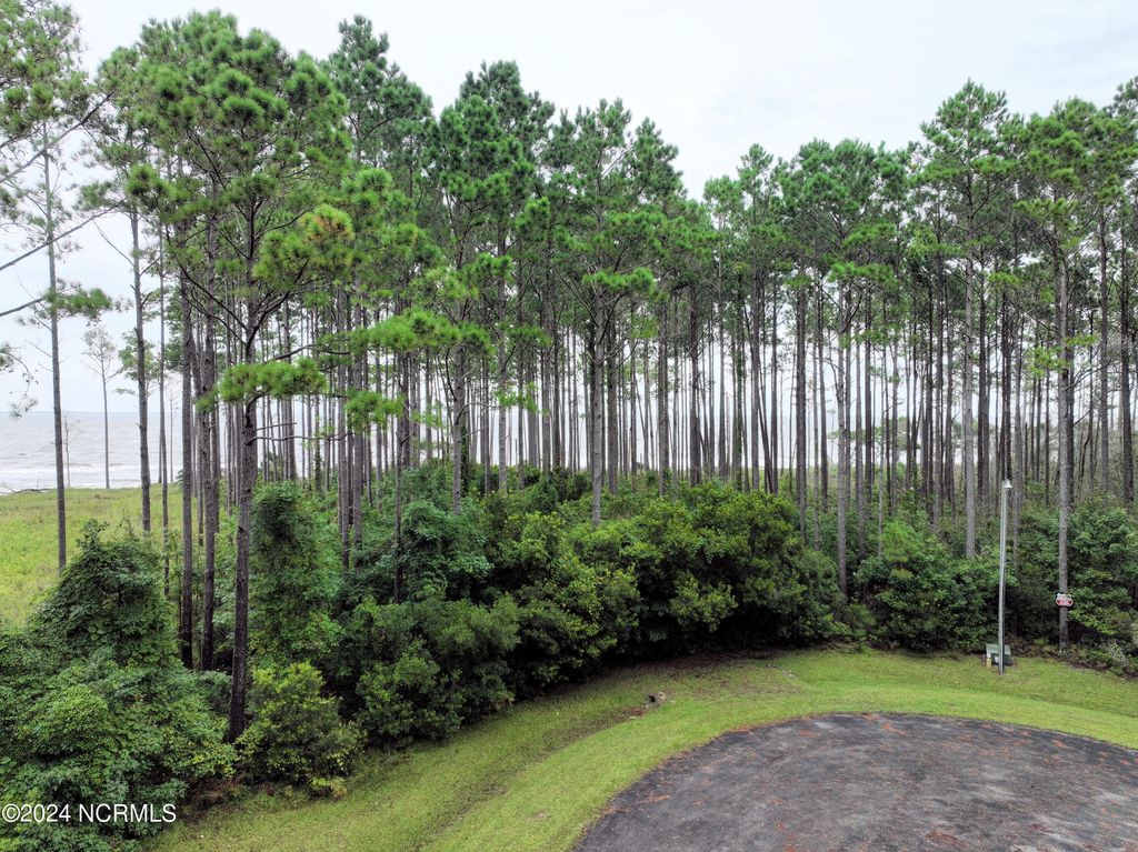 Photo of 133 Bluefin Court, Beaufort, NC 28516 (MLS # 100573772)